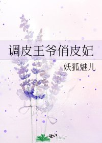 《调皮王爷俏皮妃》