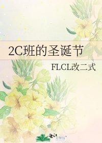 《2C班的圣诞节》