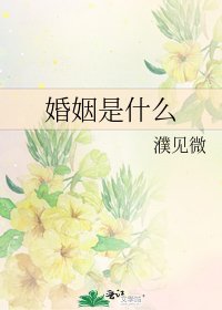 《婚姻是什么》