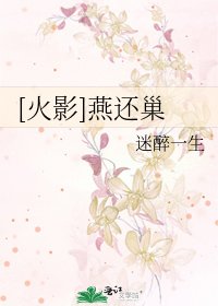 [火影]燕还巢