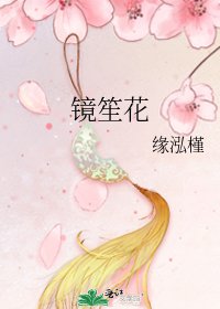 《镜笙花》