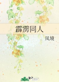 《霹雳同人》