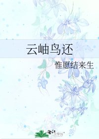 《云岫鸟还》