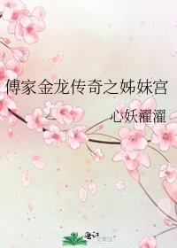 《傅家金龙传奇之姊妹宫》