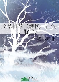 《文章推荐(现代、古代、耽美)》