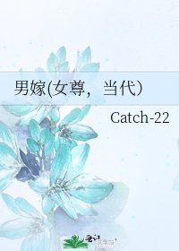 《男嫁(女尊,当代)》