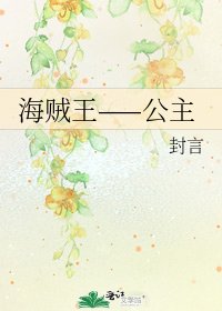 海贼王——公主