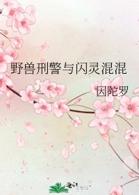野兽刑警与闪灵混混