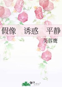 假像　诱惑　平静