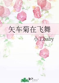 《矢车菊在飞舞》