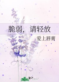 脆弱，请轻放