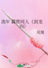 《流年 霹雳同人(剑龙向)》