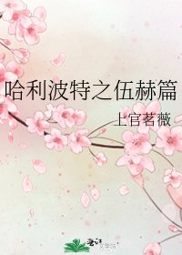 《哈利波特之伍赫篇》