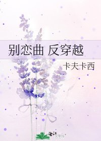 《别恋曲 反穿越》