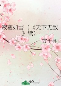 《天下无敌》