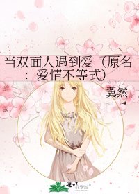 《当双面人遇到爱(原名:爱情不等式)》