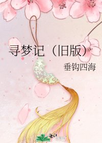 寻梦记（旧版）