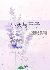 《小灰与王子》