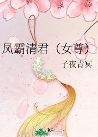 《凤霸清君(女尊)》