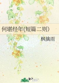 《何堪经年(短篇二则)》