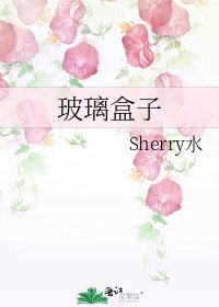 《玻璃盒子》