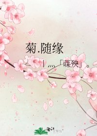 《菊.随缘》