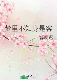 梦里不知身是客