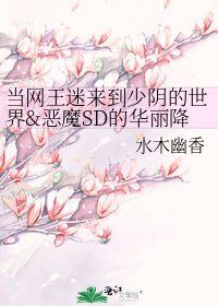 《当网王迷来到少阴的世界&恶魔SD的华丽降临~》