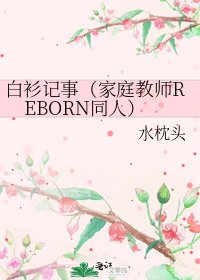 《白衫记事(家庭教师REBORN同人)》
