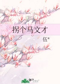 《拐个马文才》