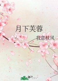 《月下芙蓉》