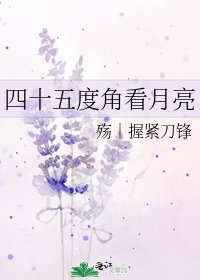 《四十五度角看月亮》