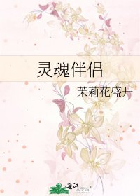 《灵魂伴侣》