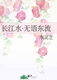 《长江水·无语东流》