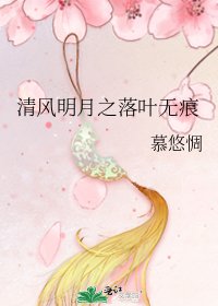 《清风明月之落叶无痕》