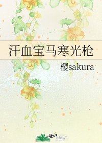 《汗血宝马寒光枪》