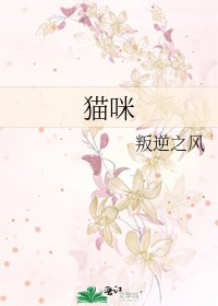 《猫咪》