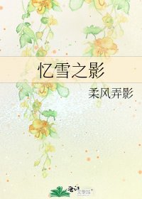 《忆雪之影》