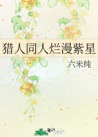 《猎人同人烂漫紫星》