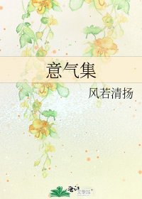 《意气集》