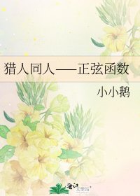 《猎人同人——正弦函数》