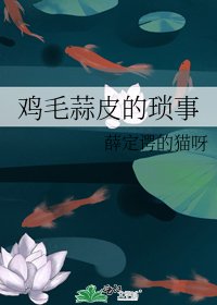 《鸡毛蒜皮的琐事》