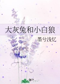 《大灰兔和小白狼》