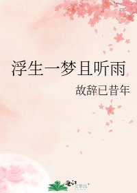 《浮生一梦且听雨》