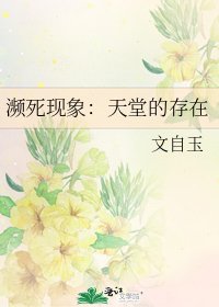 《濒死现象:天堂的存在》