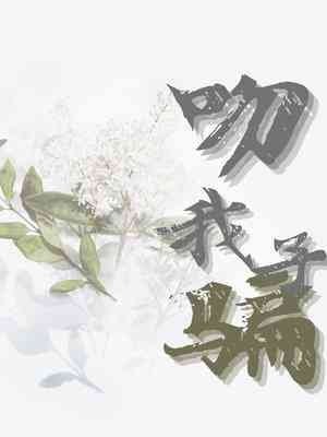 《吻我骗子》