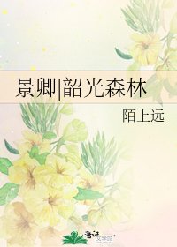 《景卿|韶光森林》