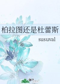 柏拉图还是杜蕾斯