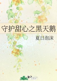 《守护甜心之黑天鹅》