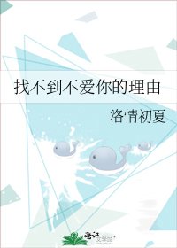 《找不到不爱你的理由》